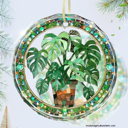 12 Stunning Monstera Suncatchers to Brighten Your Home