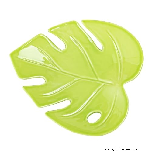 12 Stunning Monstera Suncatchers to Brighten Your Home