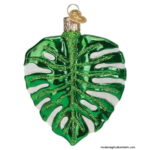 12 Stunning Monstera Suncatchers to Brighten Your Home