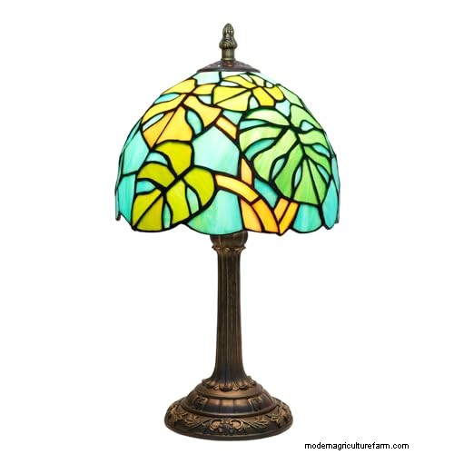 12 Stunning Monstera Suncatchers to Brighten Your Home