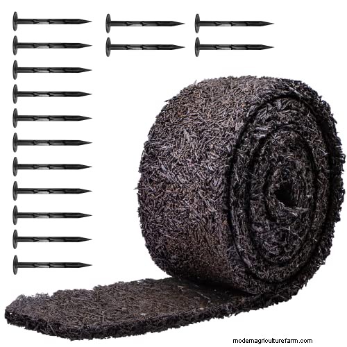 Cover Crops vs. Mulch: A Comprehensive Guide for Garden Health