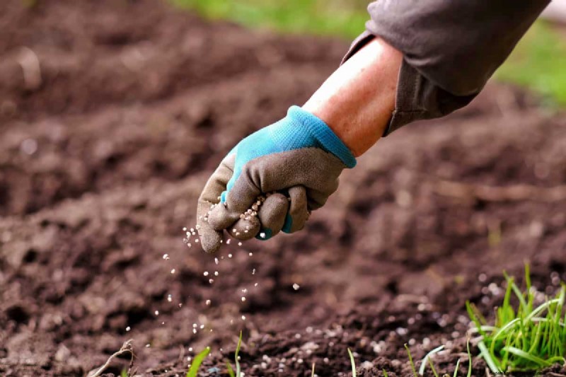 Winter Fertilizer Watering: Essential for Lawn Health