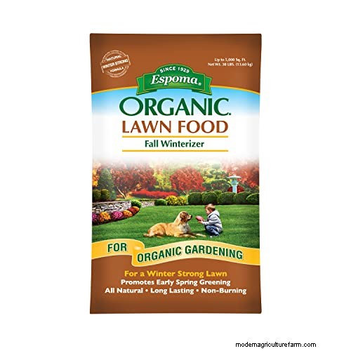Winter Fertilizer Watering: Essential for Lawn Health