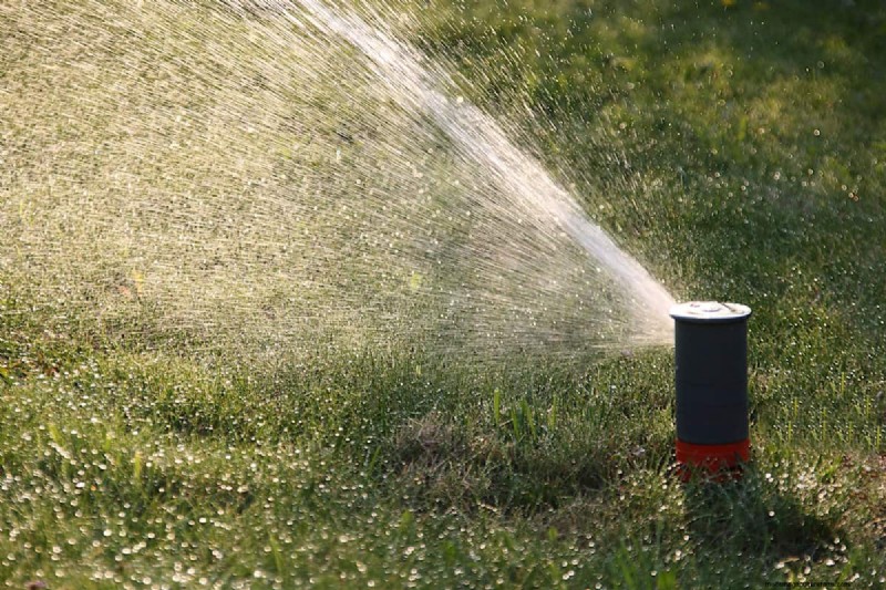Winter Fertilizer Watering: Essential for Lawn Health