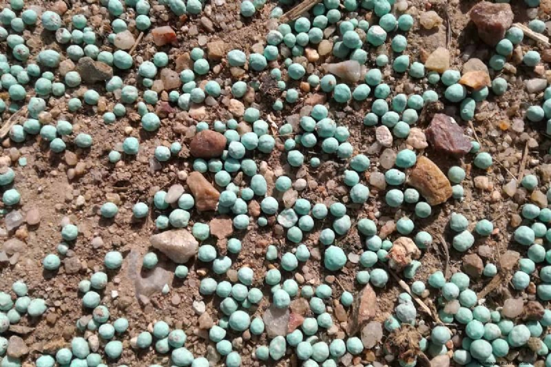Winter Fertilizer Watering: Essential for Lawn Health