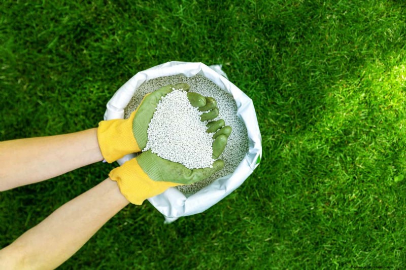 Winter Fertilizer Watering: Essential for Lawn Health