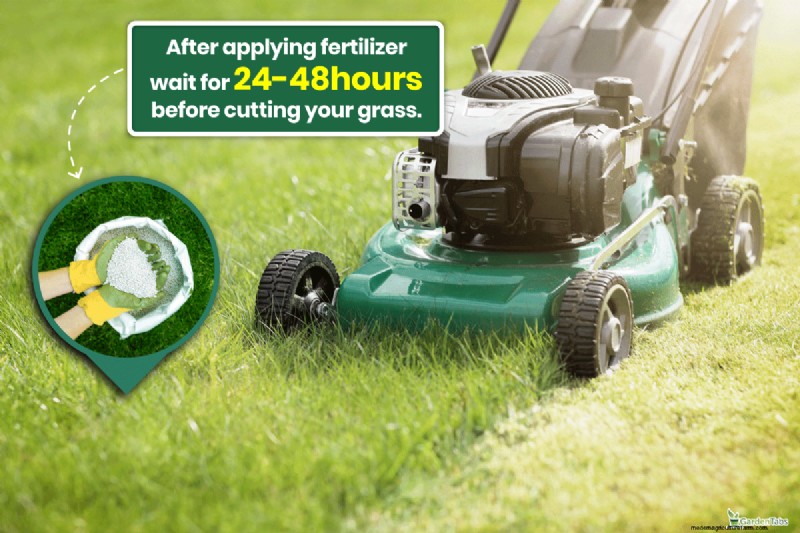 Winter Fertilizer Watering: Essential for Lawn Health