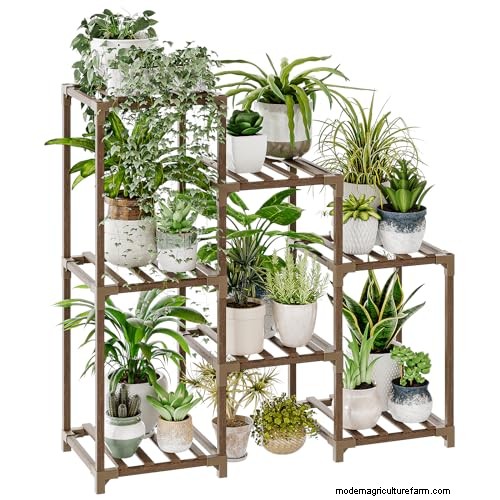 Protect Your Plants: 15 Common Winter Care Mistakes (and How to Fix Them)