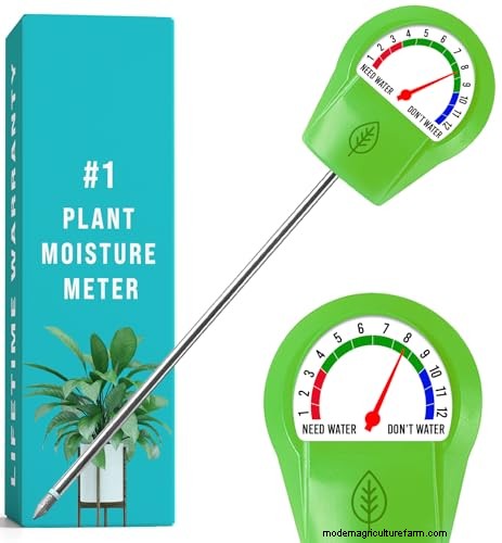 Protect Your Plants: 15 Common Winter Care Mistakes (and How to Fix Them)