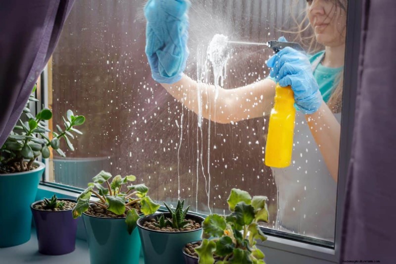 Protect Your Houseplants This Winter: Essential Prep Steps