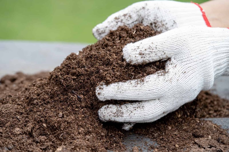 Best Soil Blends for Summer Gardens: 16 Proven Recipes