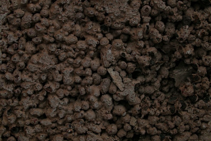 Best Soil Blends for Summer Gardens: 16 Proven Recipes