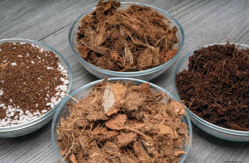 Best Soil Blends for Summer Gardens: 16 Proven Recipes