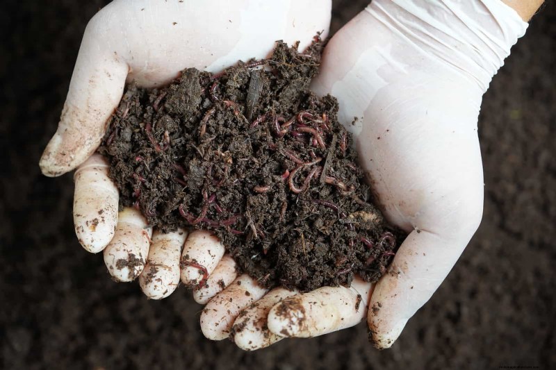 Best Soil Blends for Summer Gardens: 16 Proven Recipes