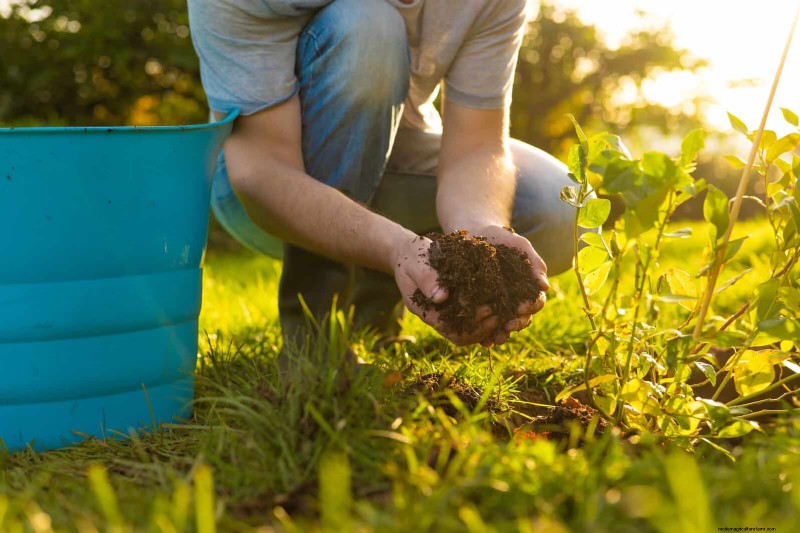 Best Soil Blends for Summer Gardens: 16 Proven Recipes