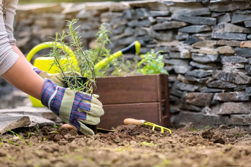 Best Soil Blends for Summer Gardens: 16 Proven Recipes