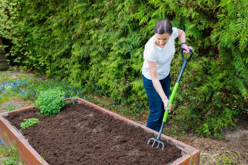 Best Soil Blends for Summer Gardens: 16 Proven Recipes