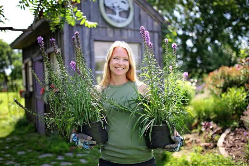 Best Soil Blends for Summer Gardens: 16 Proven Recipes
