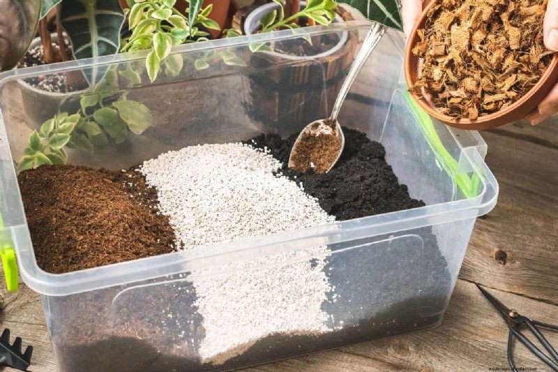 Best Soil Blends for Summer Gardens: 16 Proven Recipes