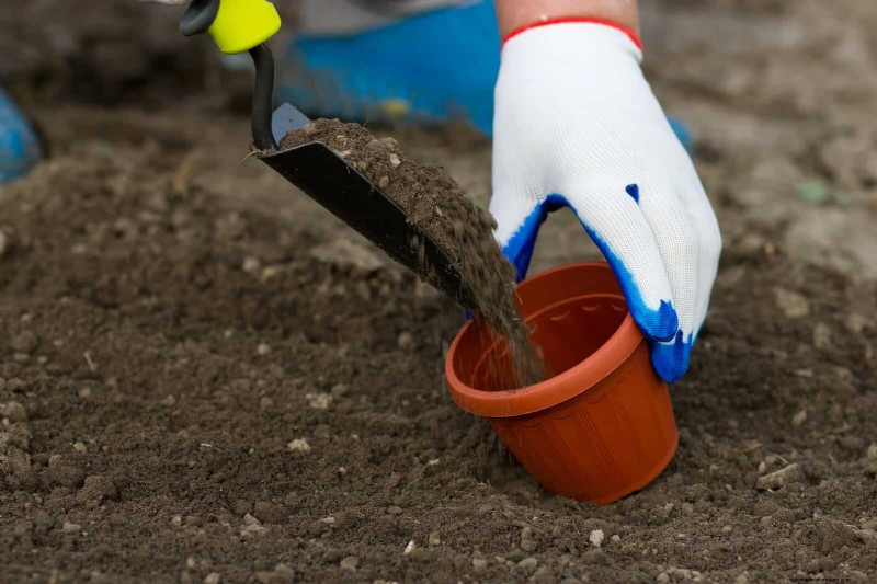 Best Soil Blends for Summer Gardens: 16 Proven Recipes