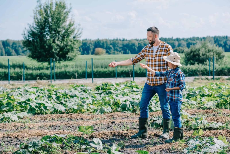 Quick-Growing Seeds for Kids: Fun Gardening Projects Before Summer Ends