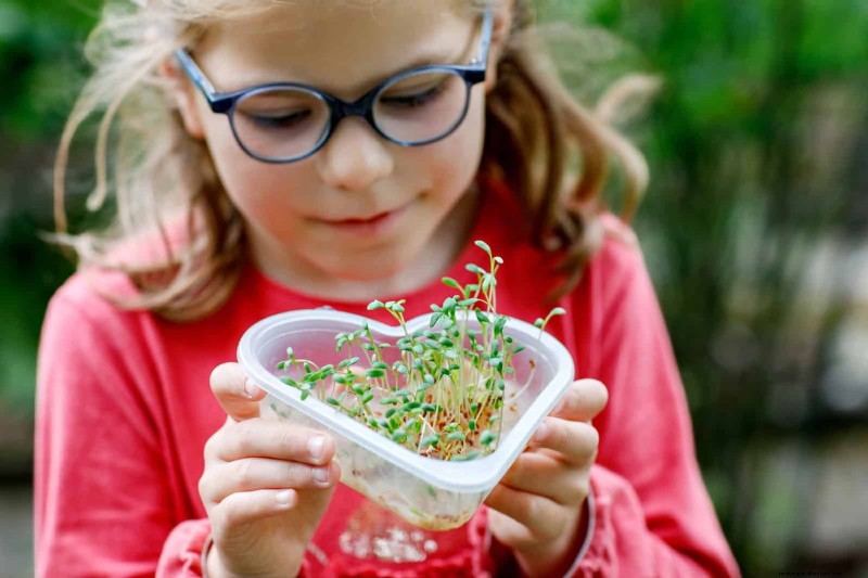 Quick-Growing Seeds for Kids: Fun Gardening Projects Before Summer Ends