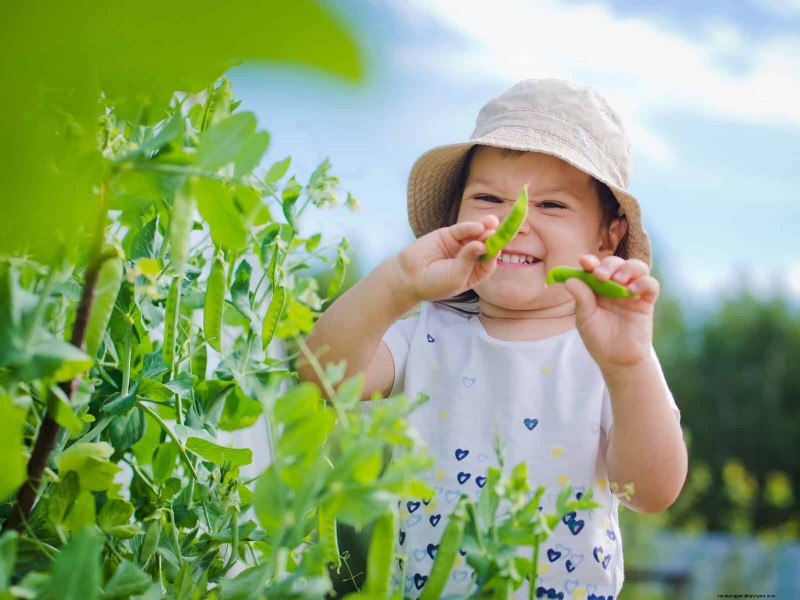 Quick-Growing Seeds for Kids: Fun Gardening Projects Before Summer Ends