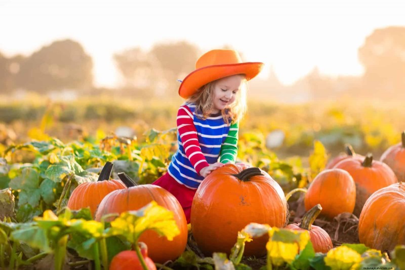 Quick-Growing Seeds for Kids: Fun Gardening Projects Before Summer Ends
