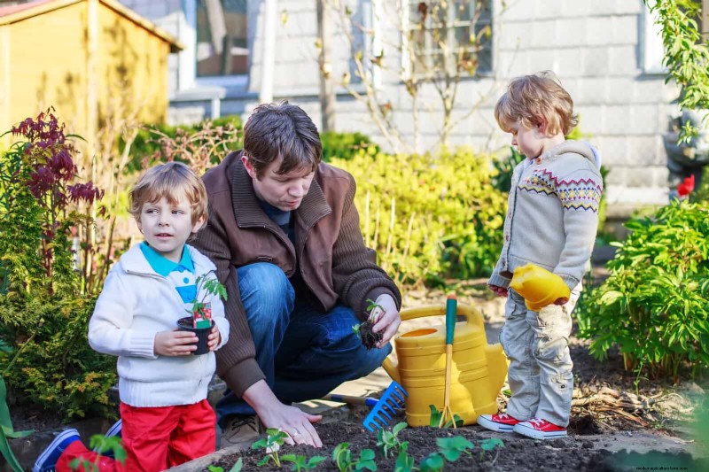 Quick-Growing Seeds for Kids: Fun Gardening Projects Before Summer Ends