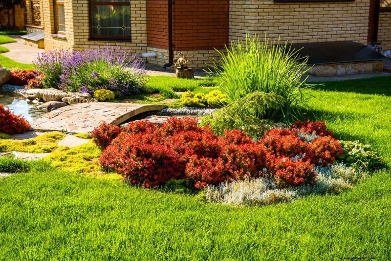 Mosquito Magnet: 13 Backyard Features & Simple Solutions