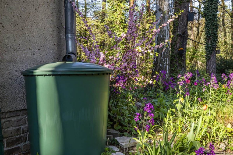 Mosquito Magnet: 13 Backyard Features & Simple Solutions