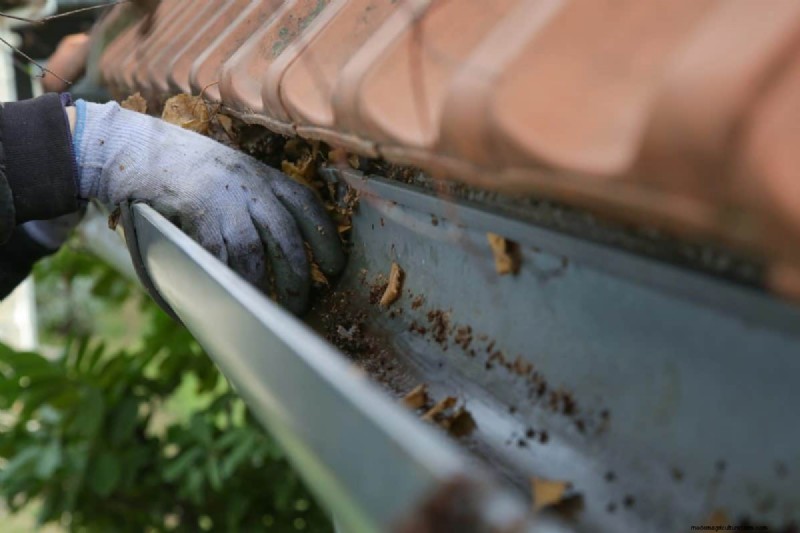 Mosquito Magnet: 13 Backyard Features & Simple Solutions