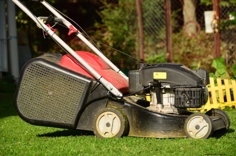 Mosquito Magnet: 13 Backyard Features & Simple Solutions