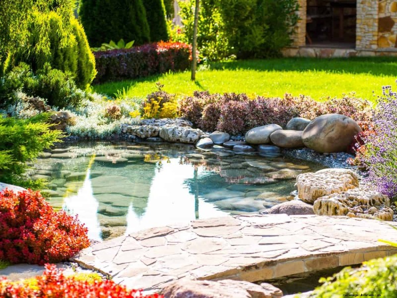 Mosquito Magnet: 13 Backyard Features & Simple Solutions