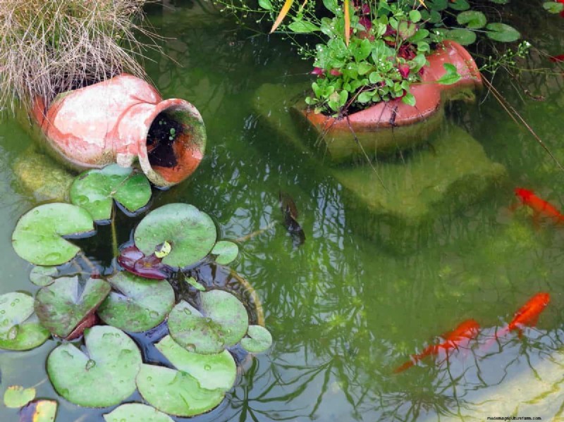 Mosquito Magnet: 13 Backyard Features & Simple Solutions
