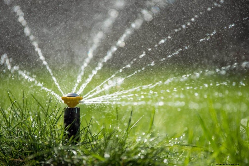 Mosquito Magnet: 13 Backyard Features & Simple Solutions