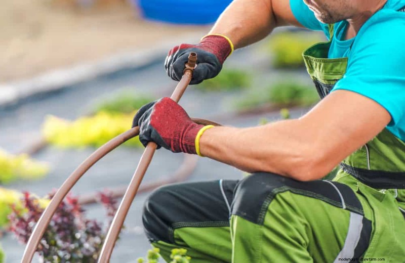 Mosquito Magnet: 13 Backyard Features & Simple Solutions