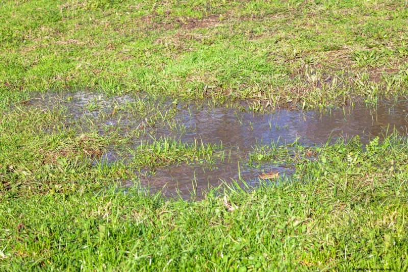 Mosquito Magnet: 13 Backyard Features & Simple Solutions