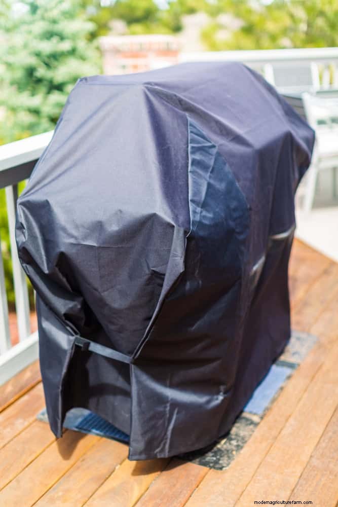 Mosquito Magnet: 13 Backyard Features & Simple Solutions