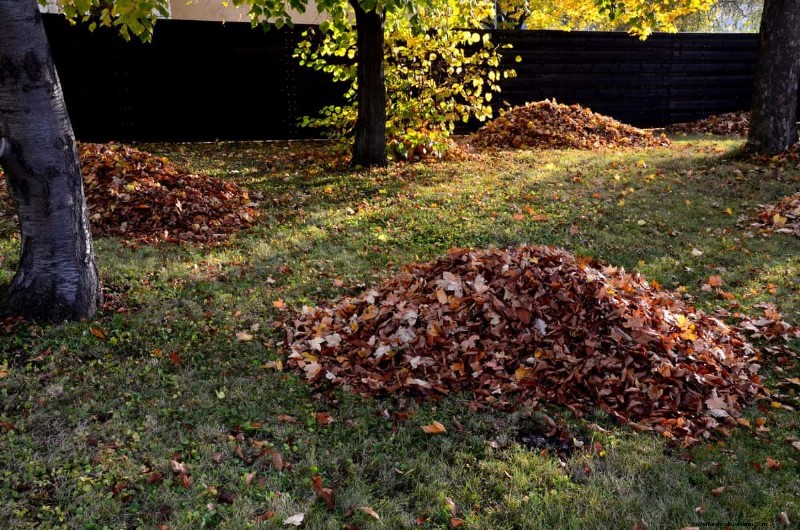Mosquito Magnet: 13 Backyard Features & Simple Solutions