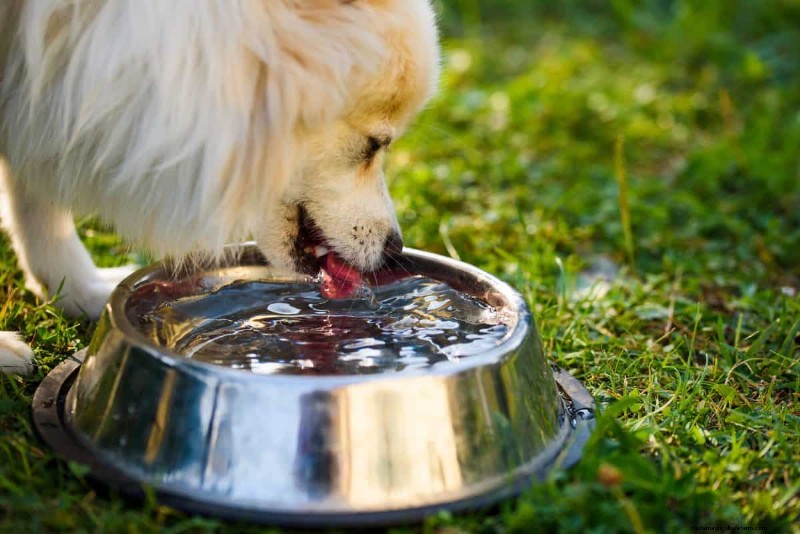 Mosquito Magnet: 13 Backyard Features & Simple Solutions