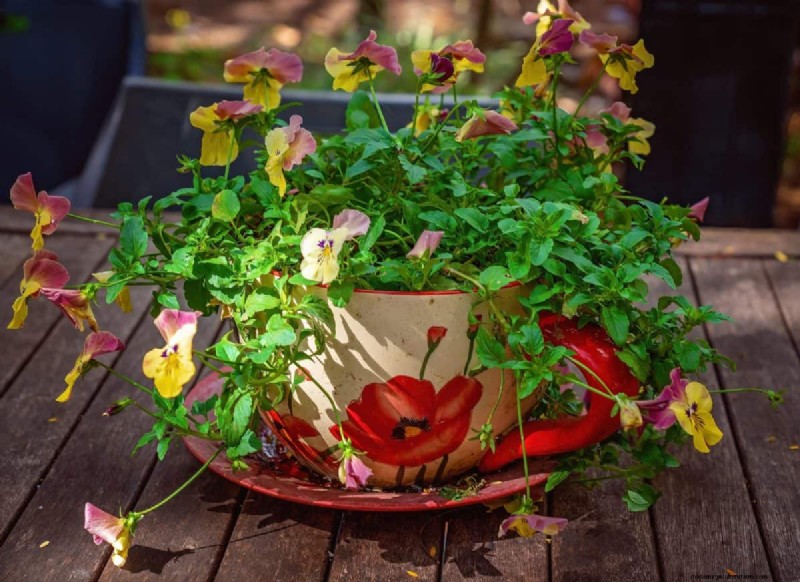 Mosquito Magnet: 13 Backyard Features & Simple Solutions