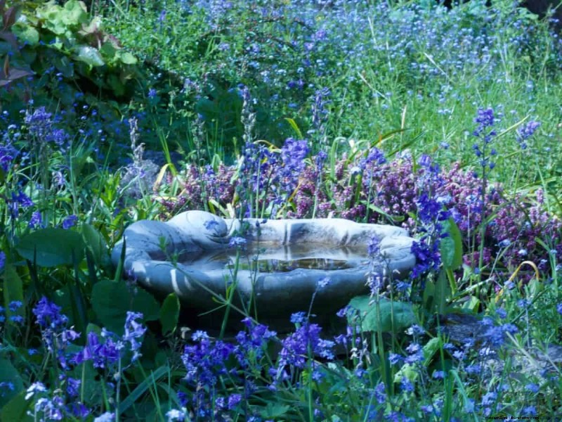 Mosquito Magnet: 13 Backyard Features & Simple Solutions