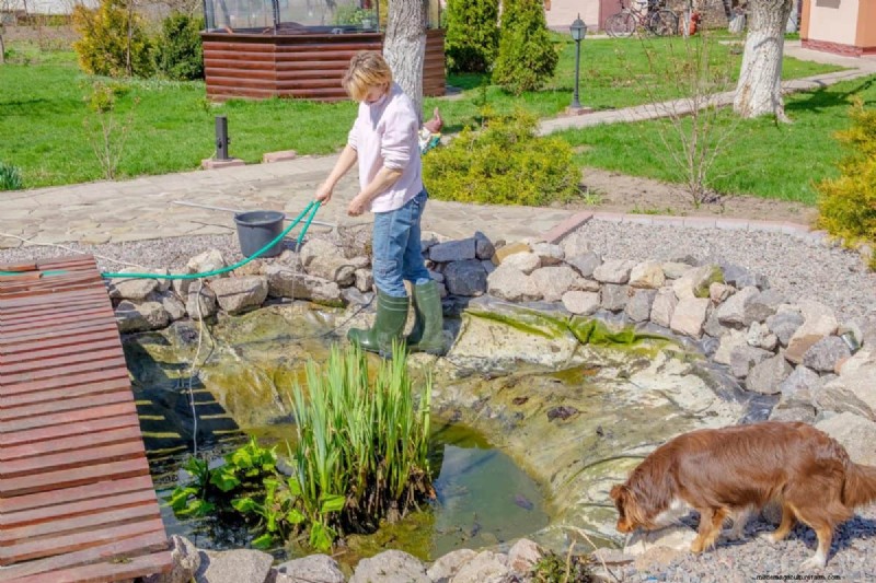 Mosquito Magnet: 13 Backyard Features & Simple Solutions