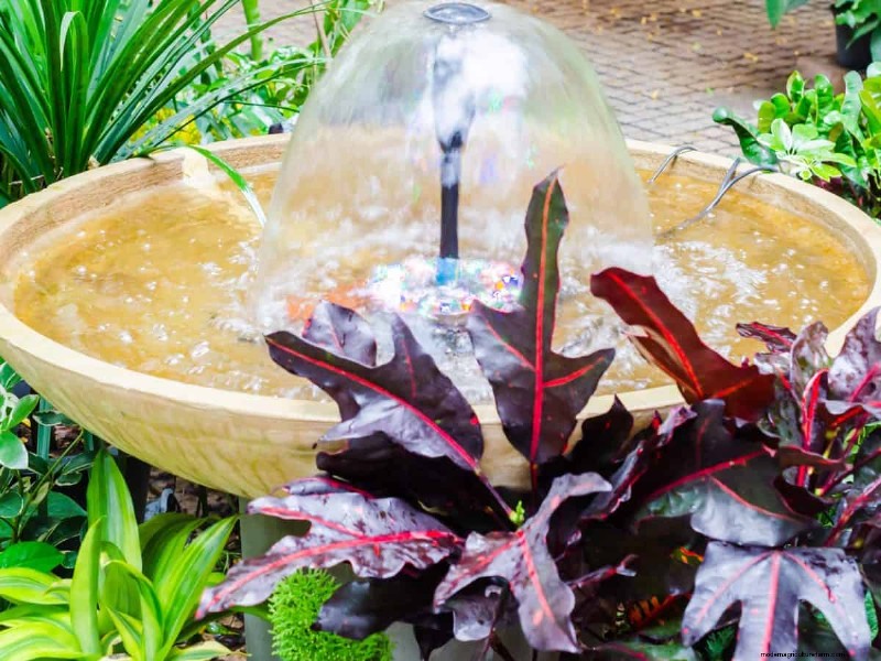 Mosquito Magnet: 13 Backyard Features & Simple Solutions