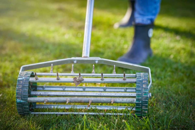 Revive Your Lawn: 14 Late Summer Rescue Tricks for a Healthy Fall Yard