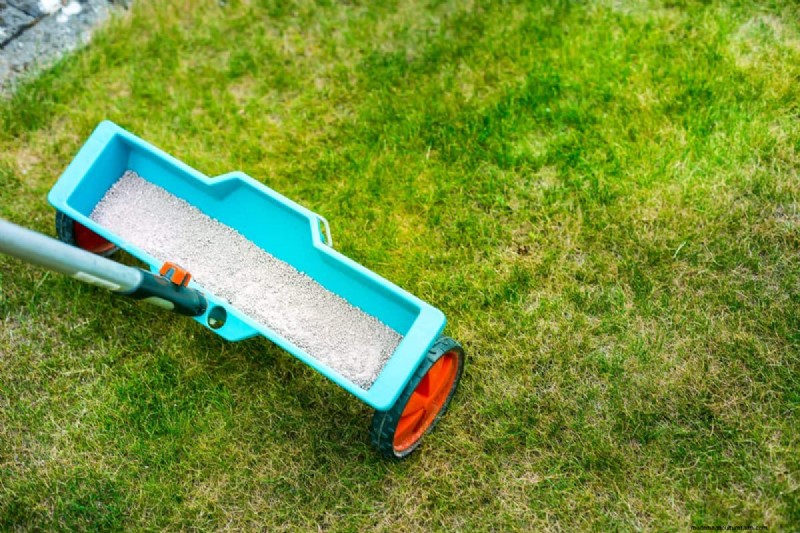 Revive Your Lawn: 14 Late Summer Rescue Tricks for a Healthy Fall Yard