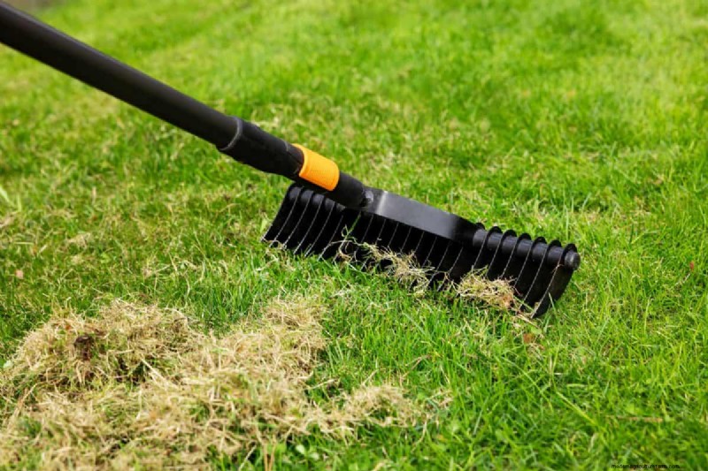 Revive Your Lawn: 14 Late Summer Rescue Tricks for a Healthy Fall Yard