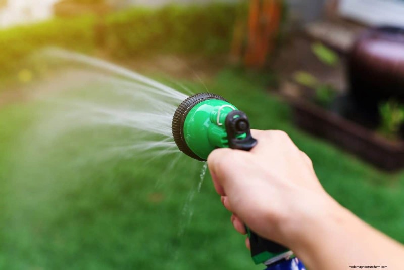 Revive Your Lawn: 14 Late Summer Rescue Tricks for a Healthy Fall Yard