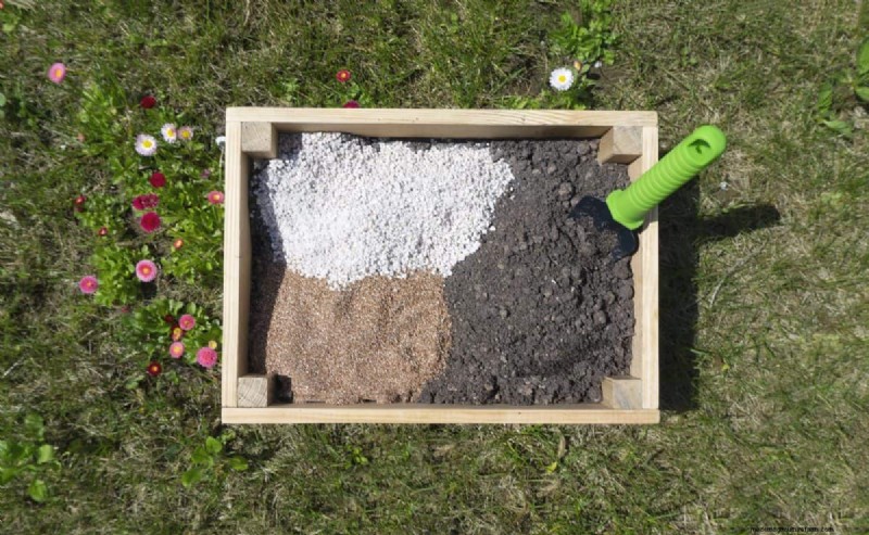 Revive Your Lawn: 14 Late Summer Rescue Tricks for a Healthy Fall Yard